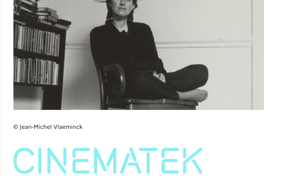 Proyección de Toute une nuit, Chantal Akerman